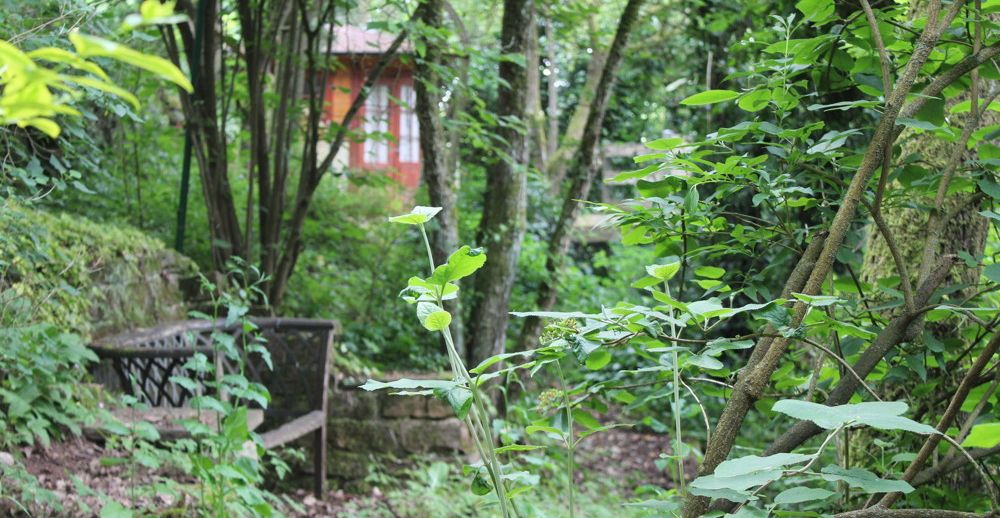 Garten