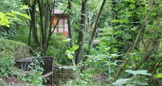 von_poll_real_estate_property_23064016A_image_12