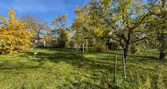 von_poll_real_estate_property_25064020_image_18