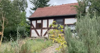 von_poll_real_estate_property_25064020_image_17