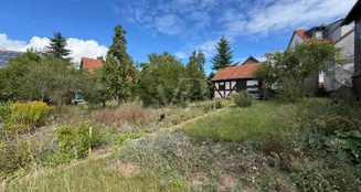 von_poll_real_estate_property_25064020_image_16