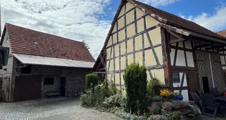 von_poll_real_estate_property_25064020_image_13