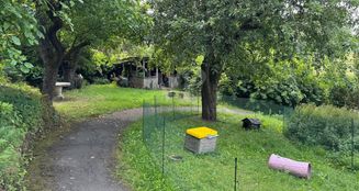 von_poll_real_estate_property_24064027_image_25