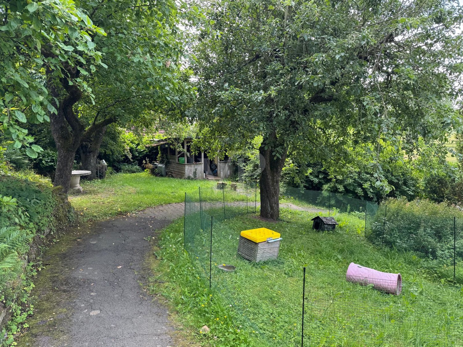 Gartenanlage