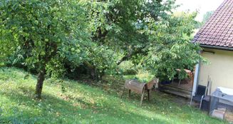 von_poll_real_estate_property_24064027_image_20