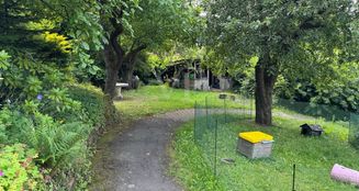 von_poll_real_estate_property_24064027_image_4