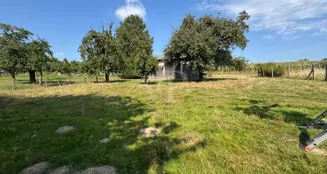 von_poll_real_estate_property_24064030_image_22