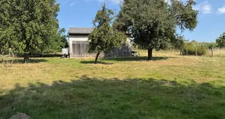 von_poll_real_estate_property_24064030_image_21