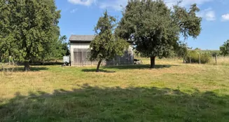 von_poll_real_estate_property_24064030_image_21