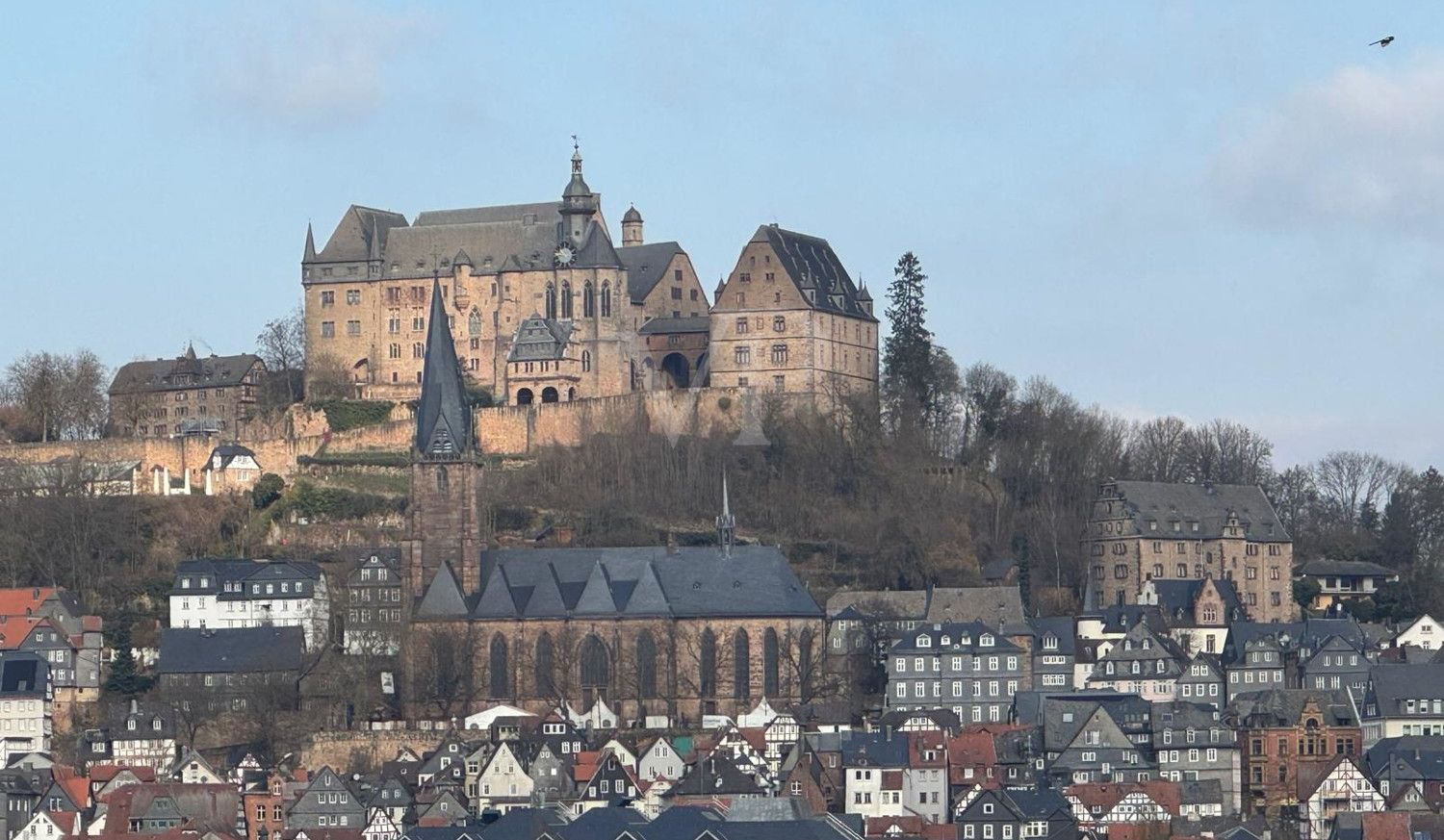 Ausblick