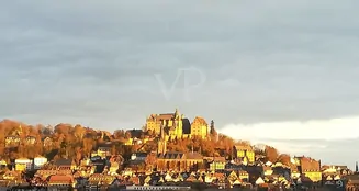 von_poll_real_estate_property_25064009_image_1