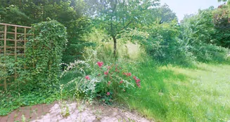 von_poll_real_estate_property_25064018_image_11