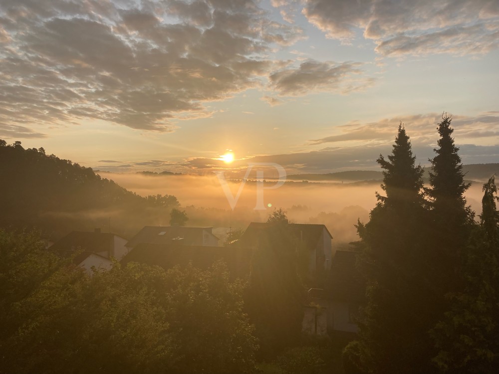 Ausblick