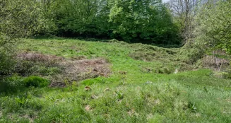 von_poll_real_estate_property_25027010g_image_2