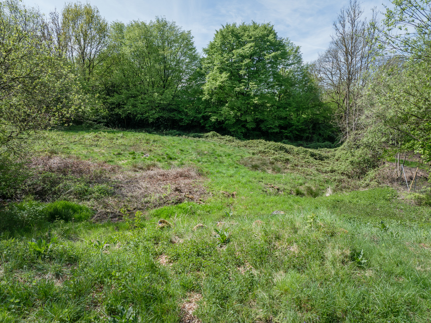 Ansicht