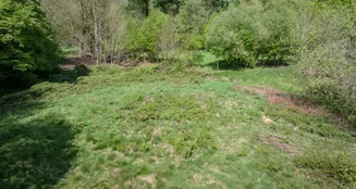 von_poll_real_estate_property_25027010g_image_3