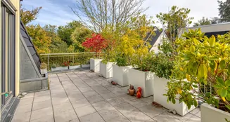 von_poll_real_estate_property_25027036_image_4