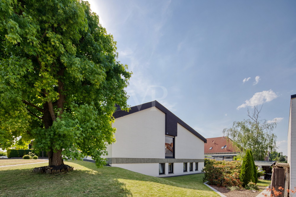 Seitenansicht Front