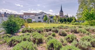 von_poll_real_estate_property_25027507_image_4
