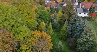 von_poll_real_estate_property_24124508E_image_8