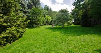 von_poll_real_estate_property_24124508E_image_9