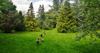 von_poll_real_estate_property_24124508E_image_10