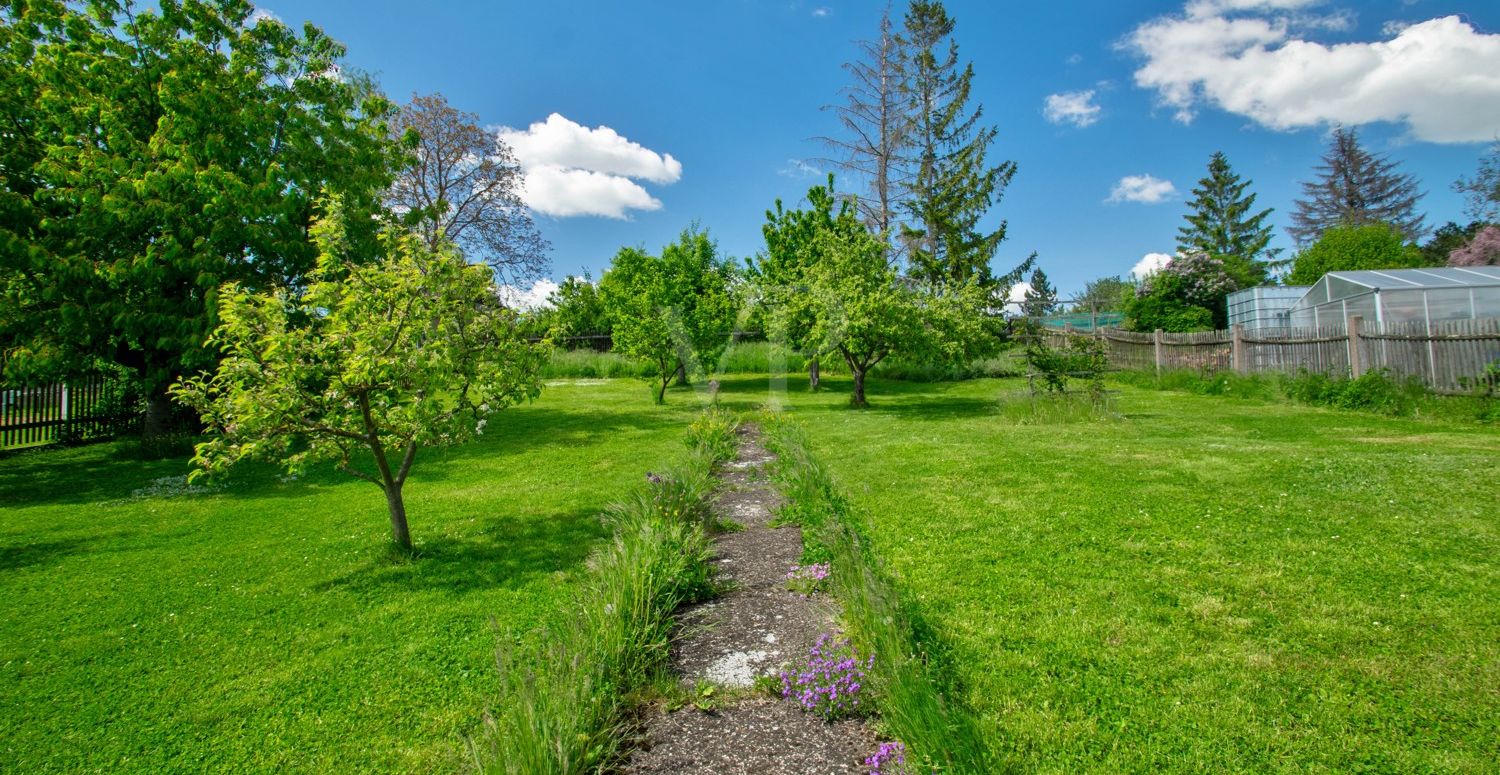 Blick in den Garten