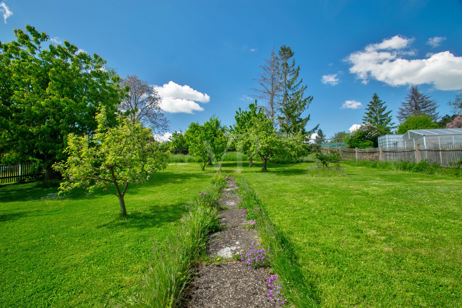 Blick in den Garten