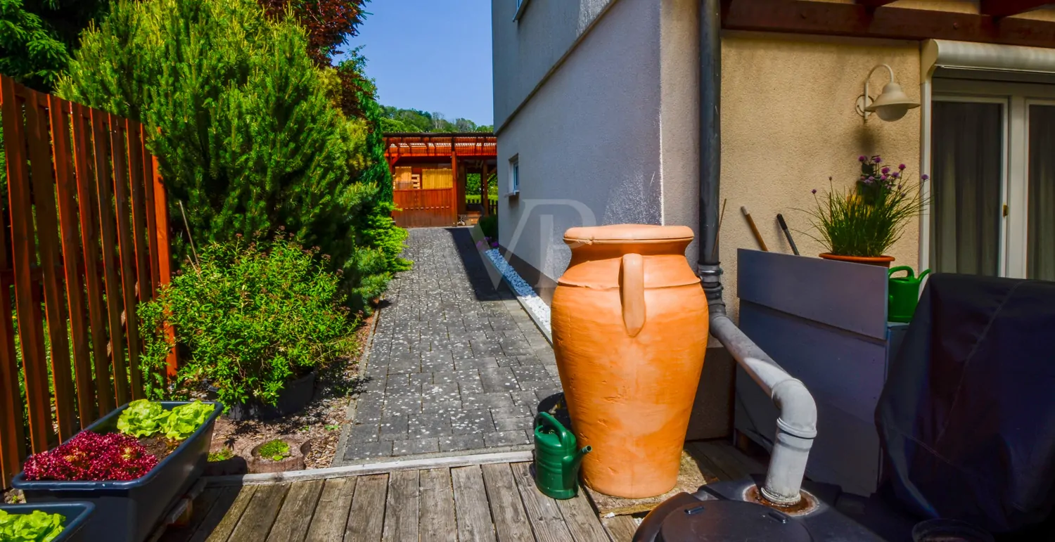 Zugang Eingangsbereich