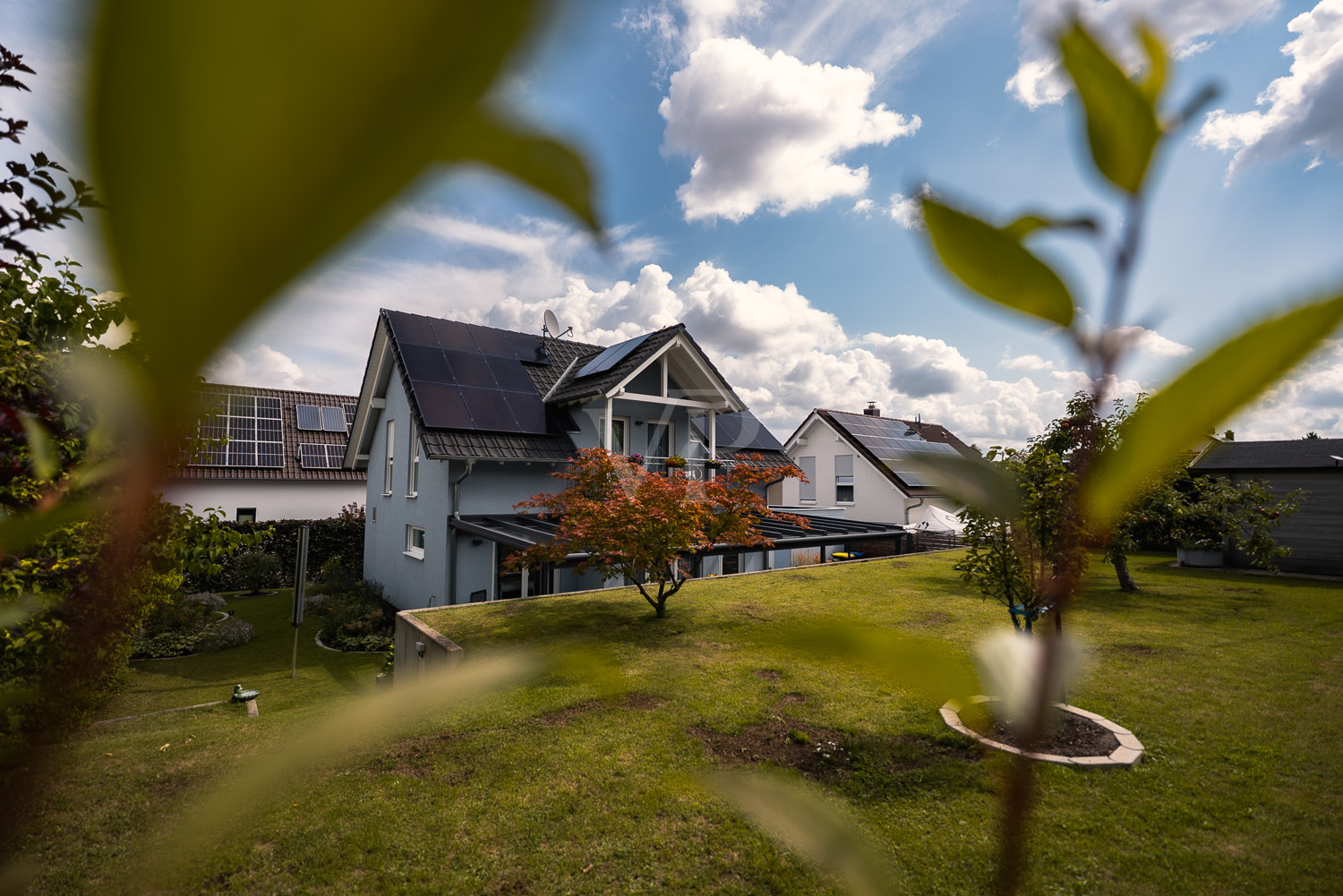 Blick aus dem Garten