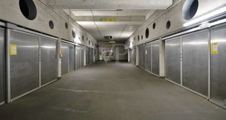 von_poll_real_estate_property_25124122_image_14