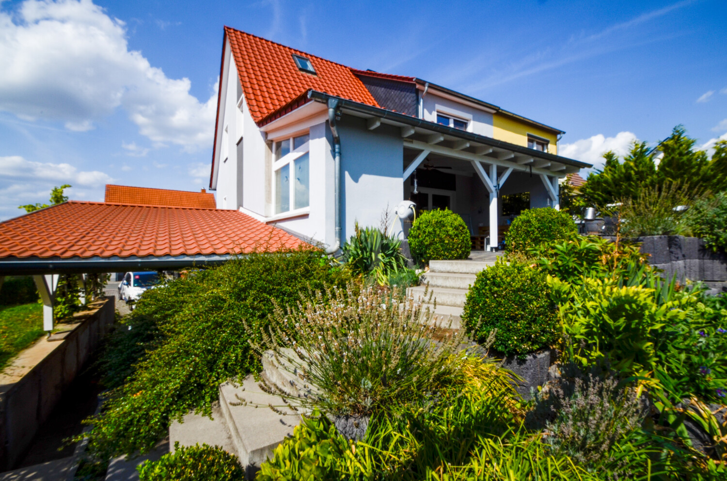 Ansicht von Garten