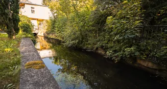 von_poll_real_estate_property_25124009_image_2