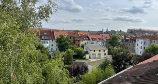 von_poll_real_estate_property_25124011_image_11