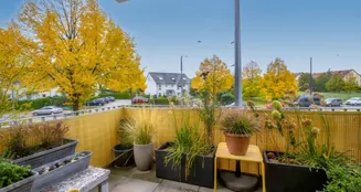 von_poll_real_estate_property_25124123b_image_2