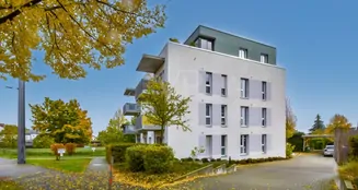 von_poll_real_estate_property_25124123b_image_13