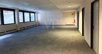 von_poll_real_estate_property_22124939_image_3