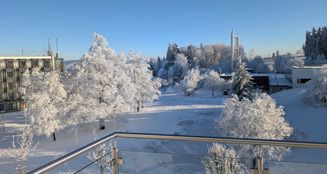 von_poll_real_estate_property_24124412_image_5