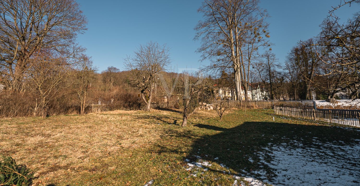 Bild (100)