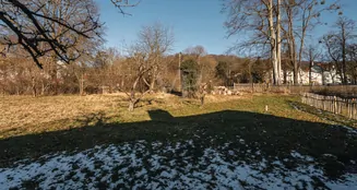 von_poll_real_estate_property_25124406_image_8