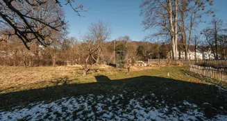 von_poll_real_estate_property_25124406_image_8