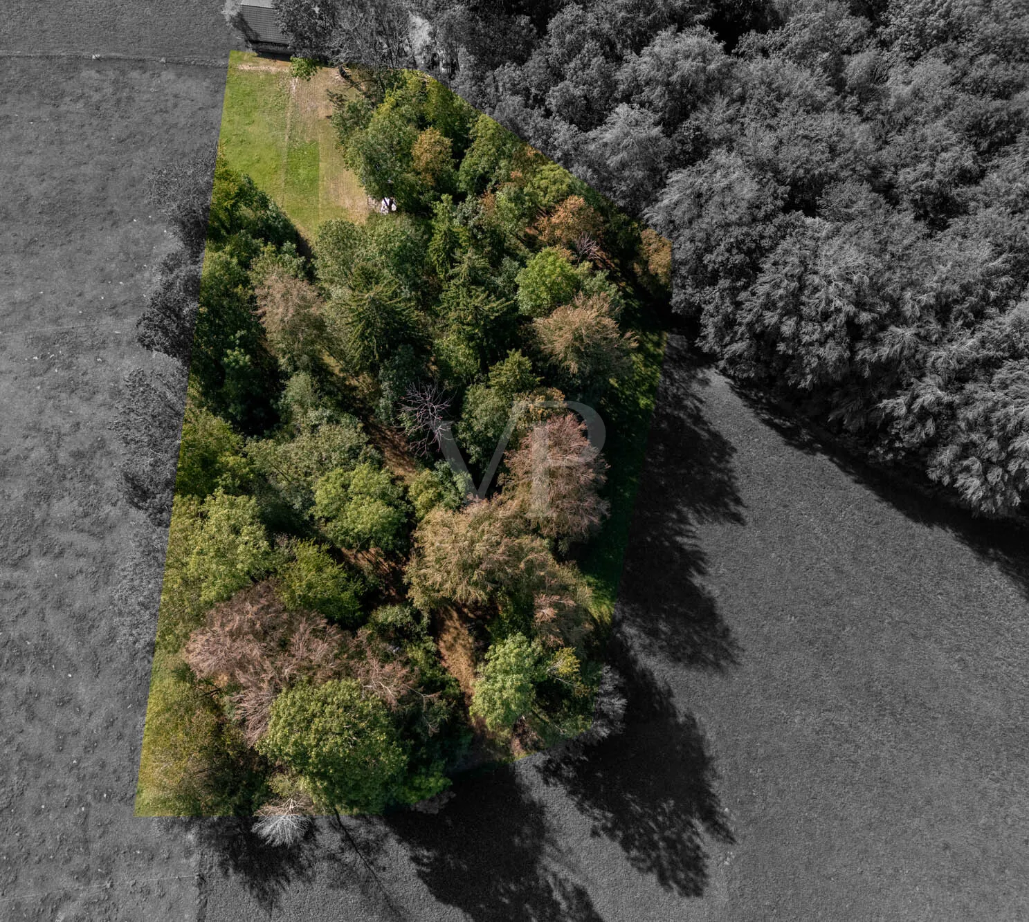 Natur pur – großzügiges Freizeitgrundstück mit Baumbestand bei Markt Rettenbach