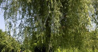 von_poll_real_estate_property_25413016_image_9