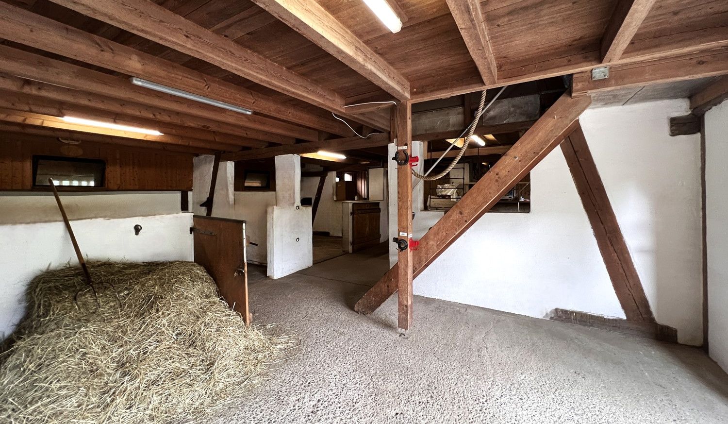 Boxen Stall