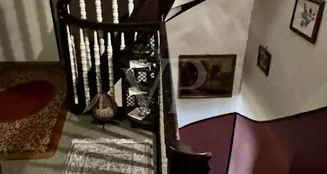 von_poll_real_estate_property_25131026_image_15