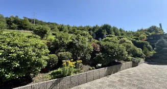 von_poll_real_estate_property_25131034_image_5