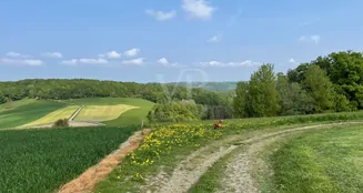 von_poll_real_estate_property_25131043_image_4