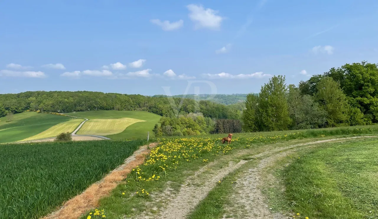 Historische Scheune auf großem Baugrundstück