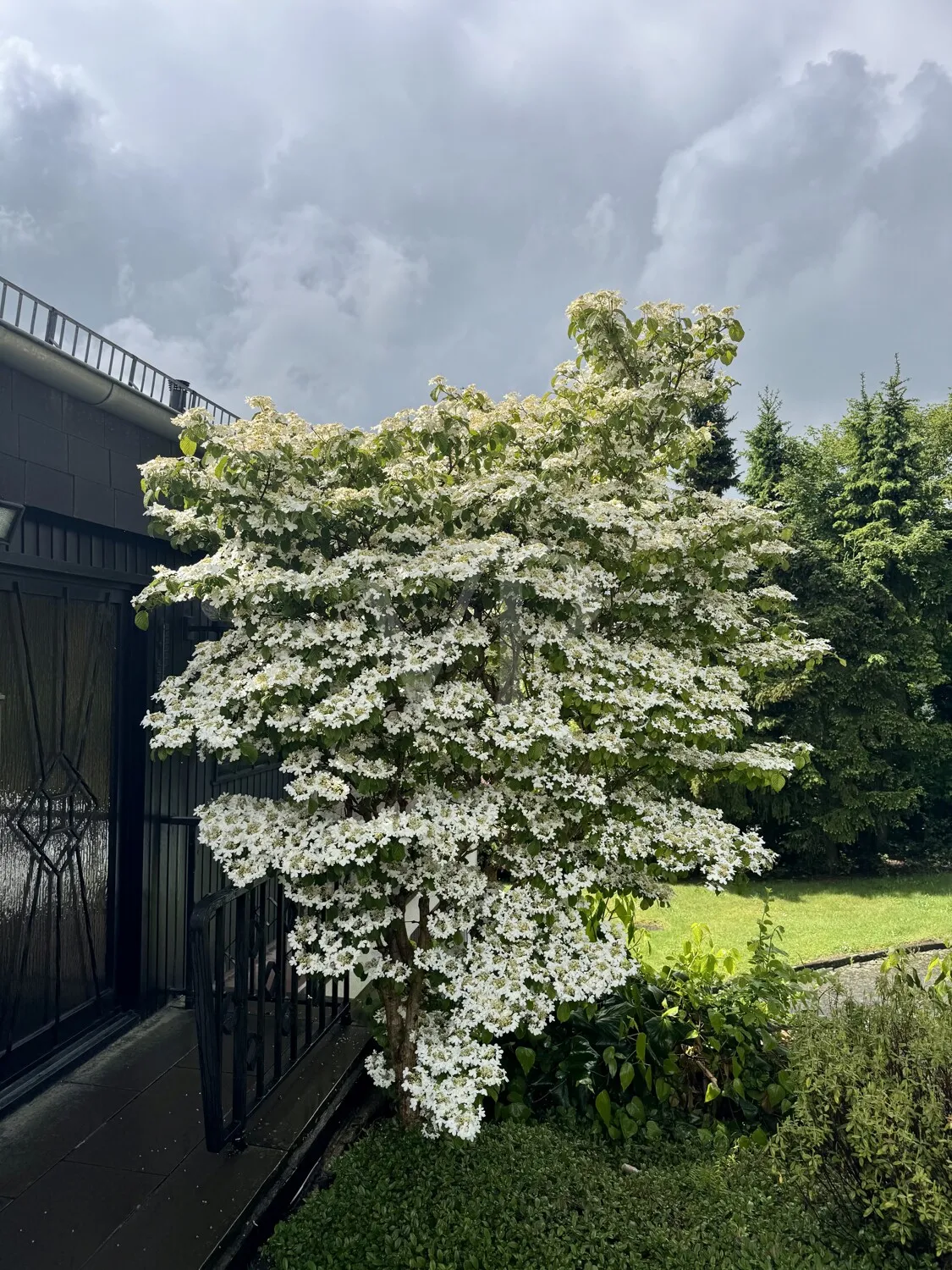 Wohnen in traumhafter Randlage –  mit unverbaubarem Naturblick in Marienheide-Müllenbach