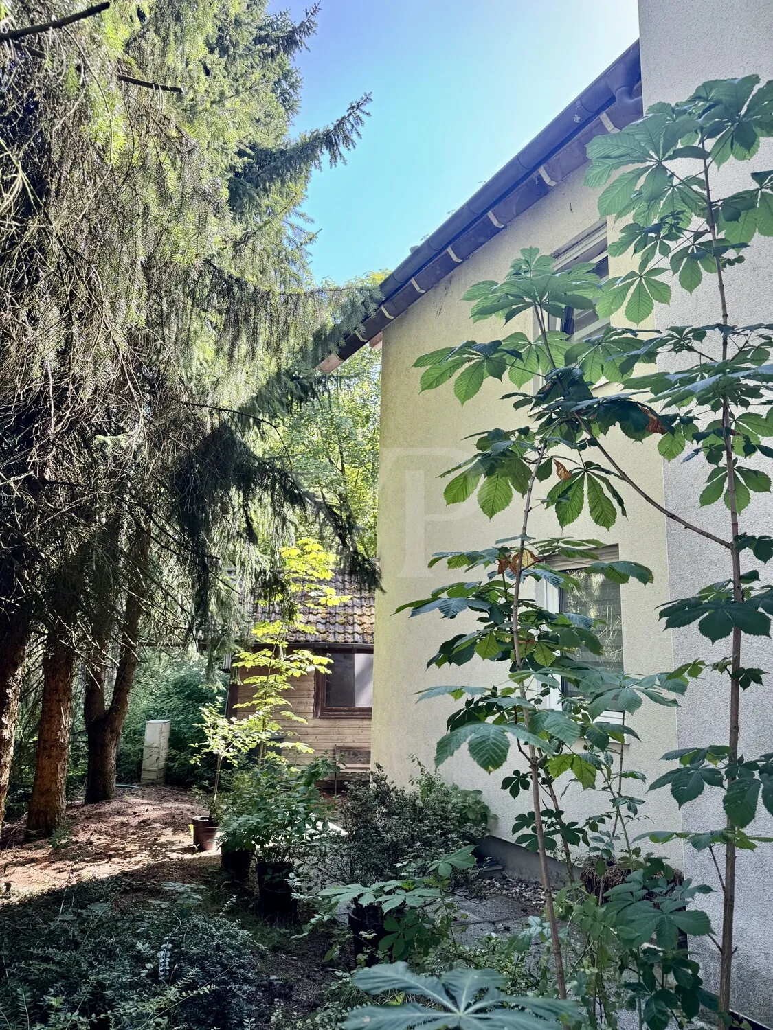 Moderne Erdgeschosswohnung mit TOP Anbindung in Wiehl